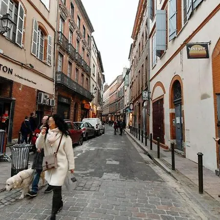 Le Petit Toulousaing - Hypercentre Capitole Τουλούζη