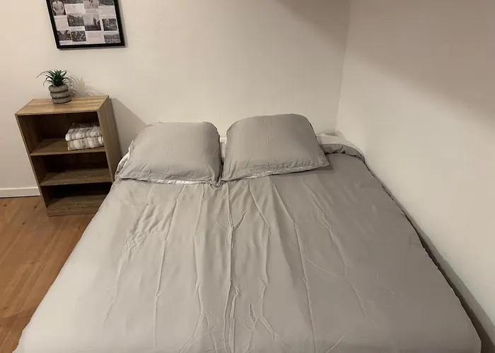 Appartamento Le Petit Toulousaing - Hypercentre Capitole