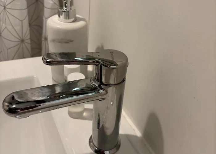 Apartment Le Petit Toulousaing - Hypercentre Capitole